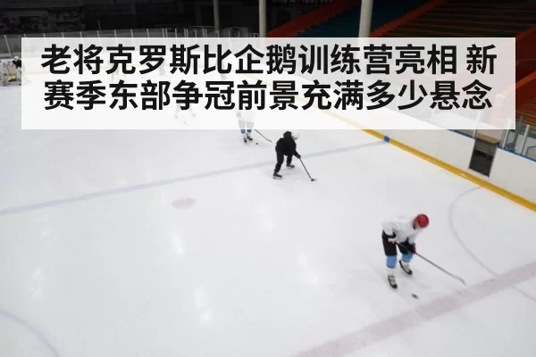 老将克罗斯比企鹅训练营亮相 新赛季东部争冠前景充满多少悬念